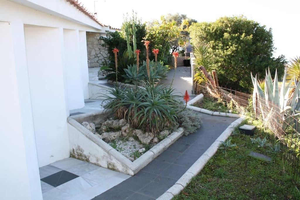 Vitardiere Villa Marbella